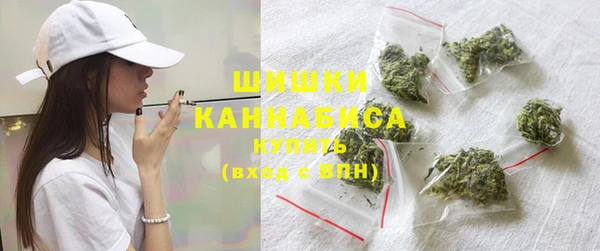 ПСИЛОЦИБИНОВЫЕ ГРИБЫ Алзамай