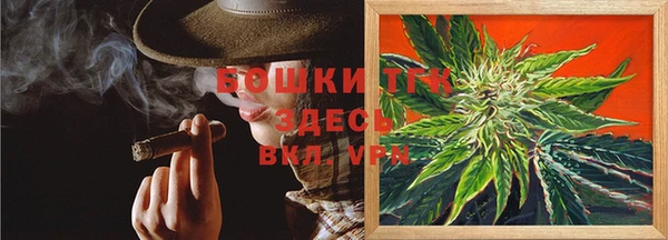 ПСИЛОЦИБИНОВЫЕ ГРИБЫ Алзамай