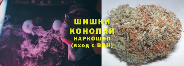 ПСИЛОЦИБИНОВЫЕ ГРИБЫ Алзамай